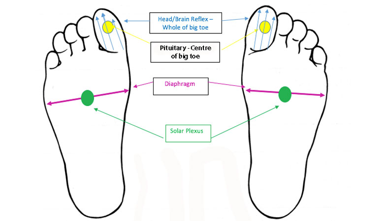 Reflexology Headache