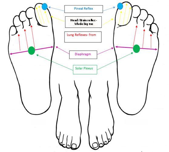 foot chart foot reflexology sleep problems