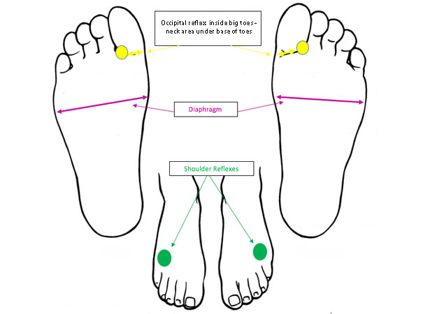 foot-chart,-reflexology-for-back,-neck-and-shoulder-pain-by-healthista.com