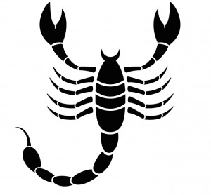 Astrology Boss Scorpio