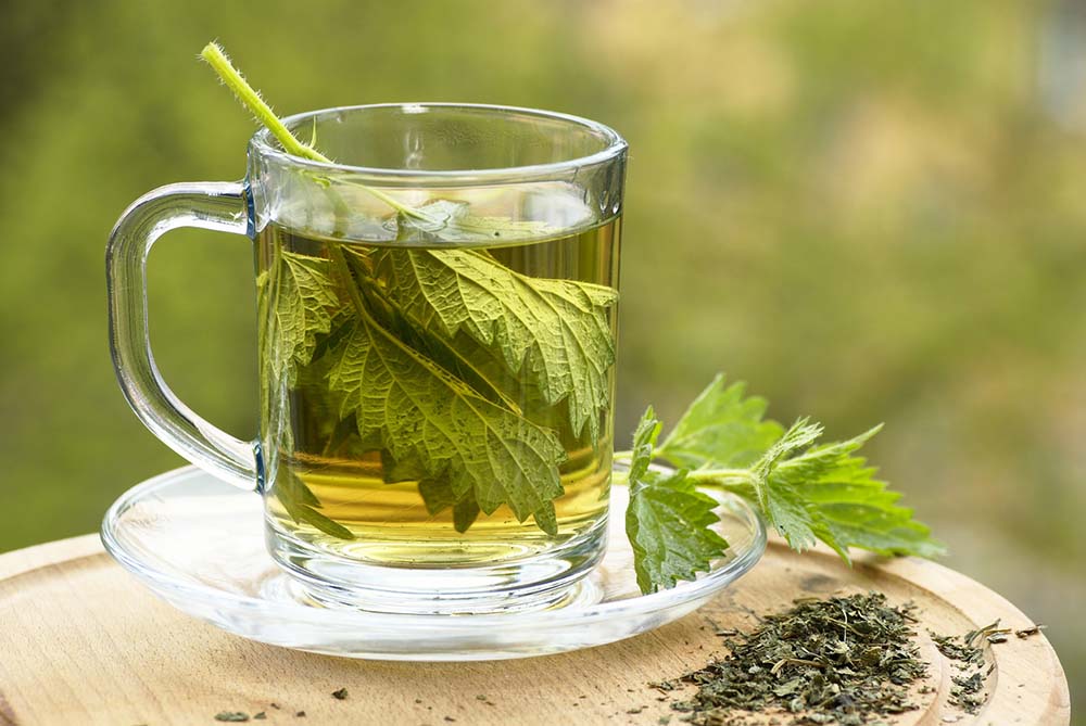 nettle-tea-pukka.jpg