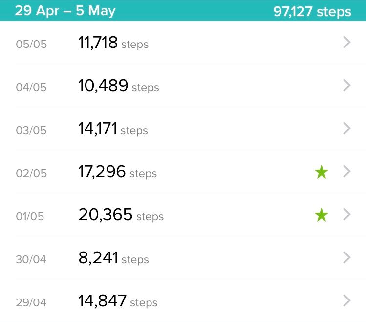 FitBit stats