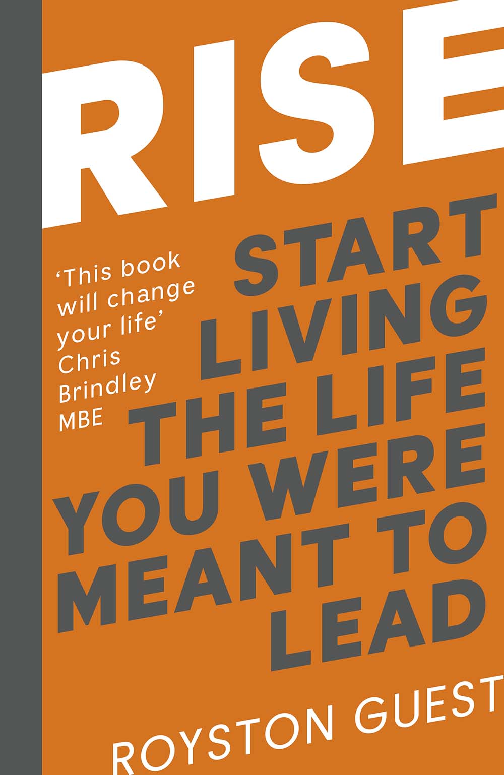 RISE book cover