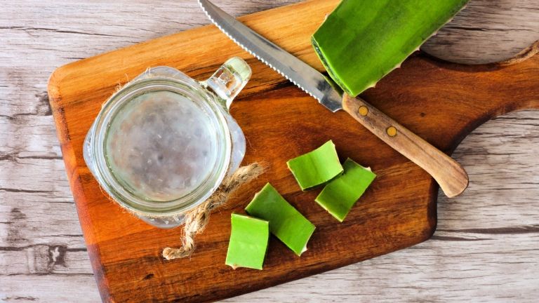 5 foods to keep you young - anti ageing skin - aloe 