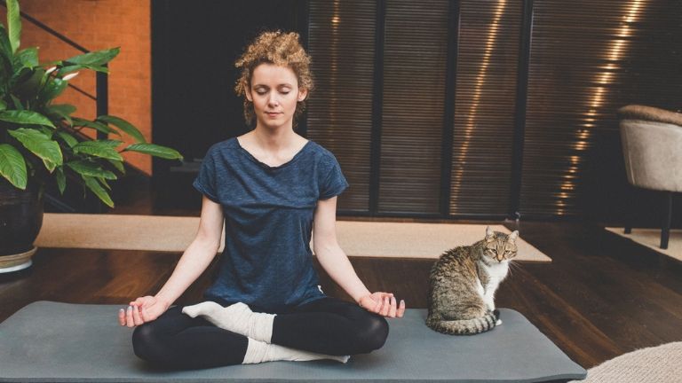 common causes of candida - at home yoga practice with cat