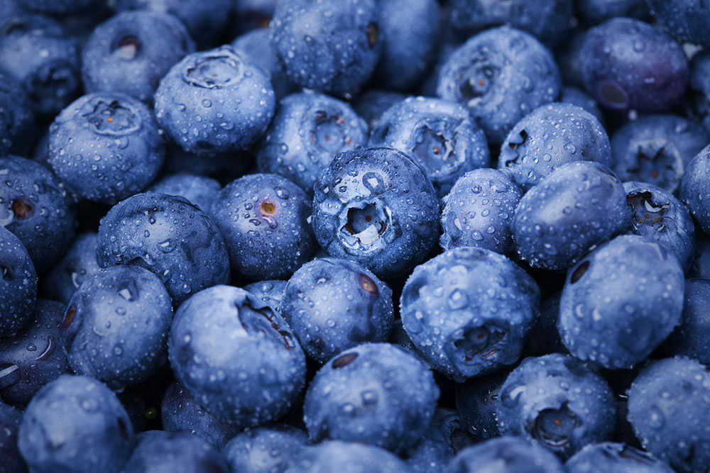 Blueberries.jpg