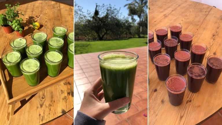 juicing chaya yoga retreats