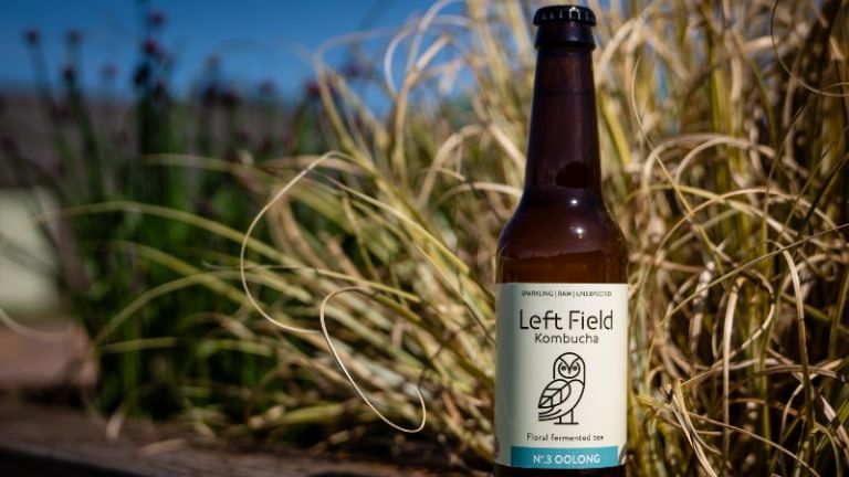 non alcoholic drinks - left field - best kombucha