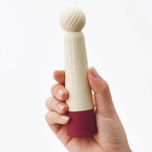 RIN-best-vibrators-healthista