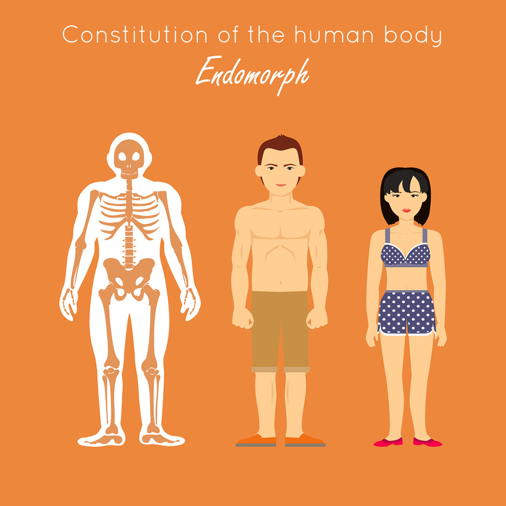 endomorph-dinas-tranaformation.jpg