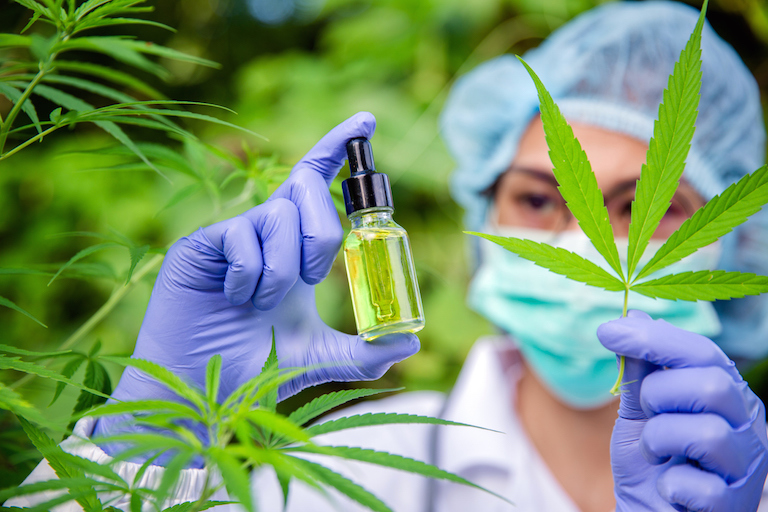 Scientist extracting CBD