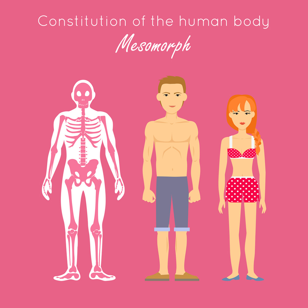 mesomorph-dinas-transformation.jpg