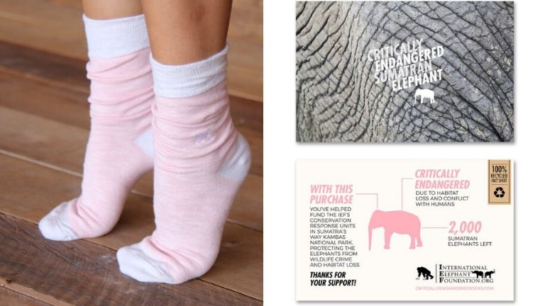 Endangered socks xmas gift guide (1)