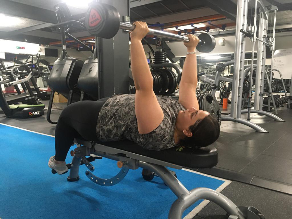 dina workout chest press