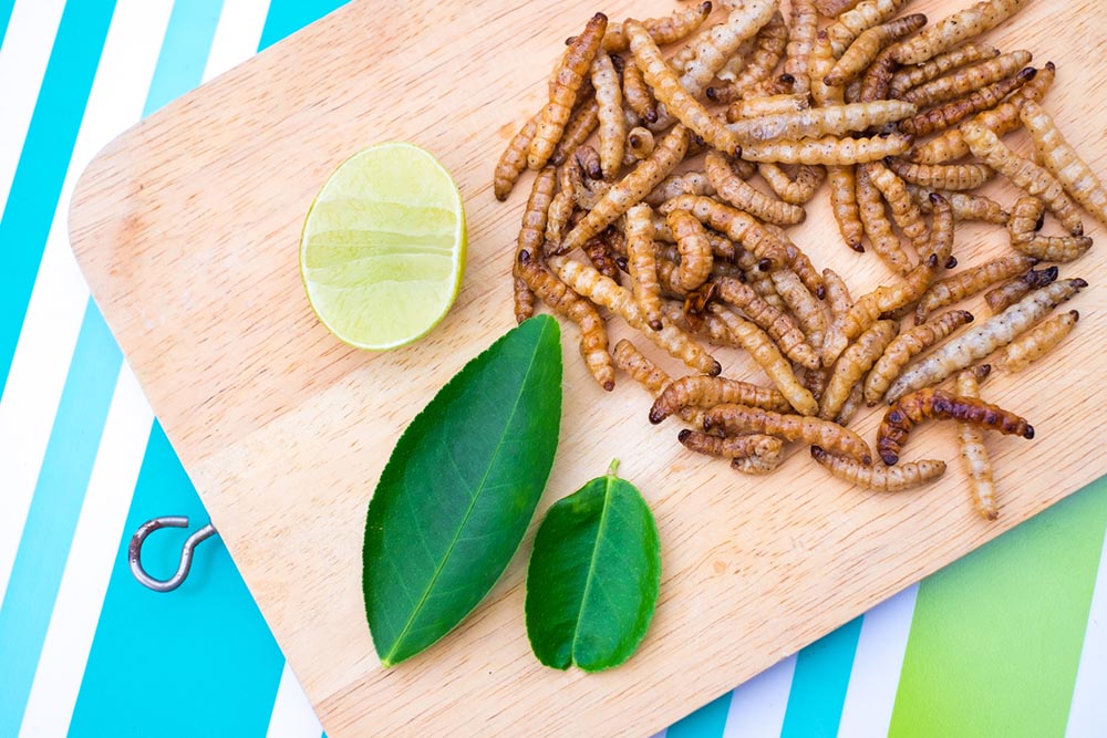 eating-insects-mealworms-on-platter.jpg