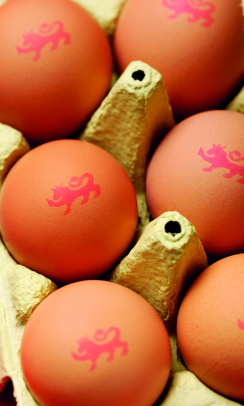 Cropped eggs in box British Lion Eggs