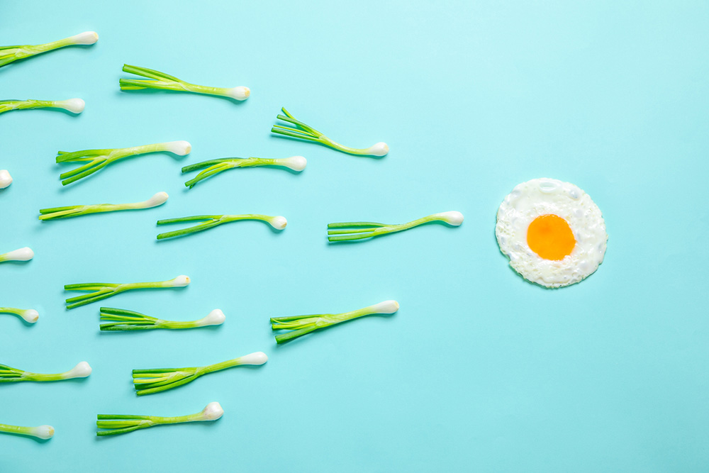 Improve male fertility