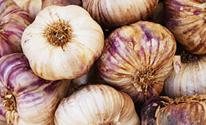 foods for a healthy gut microbiome garlic