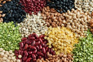 beans lentils and pulses and seeds protein myths