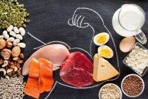 protein for big muscles protein myths