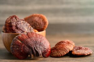 reishi mushrooms medicinal mushrooms new CBD