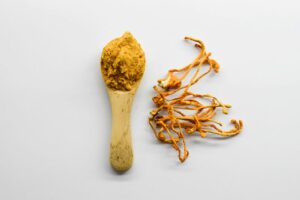 Cordyceps extract powder mushroom increase libido nutritionist