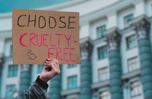 19 harmful and cruelty absolutely free beauty products and solutions