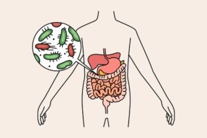 gut health microbiome good bacteria bad bacteria healthy gut