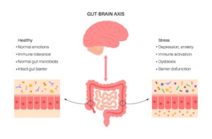 gut-brain-axis-mental-health-and-gut-health-1-1.jpg 