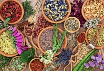 From ashwaganda to rhodiola - 6 adaptogens that will transform your health FEATURED