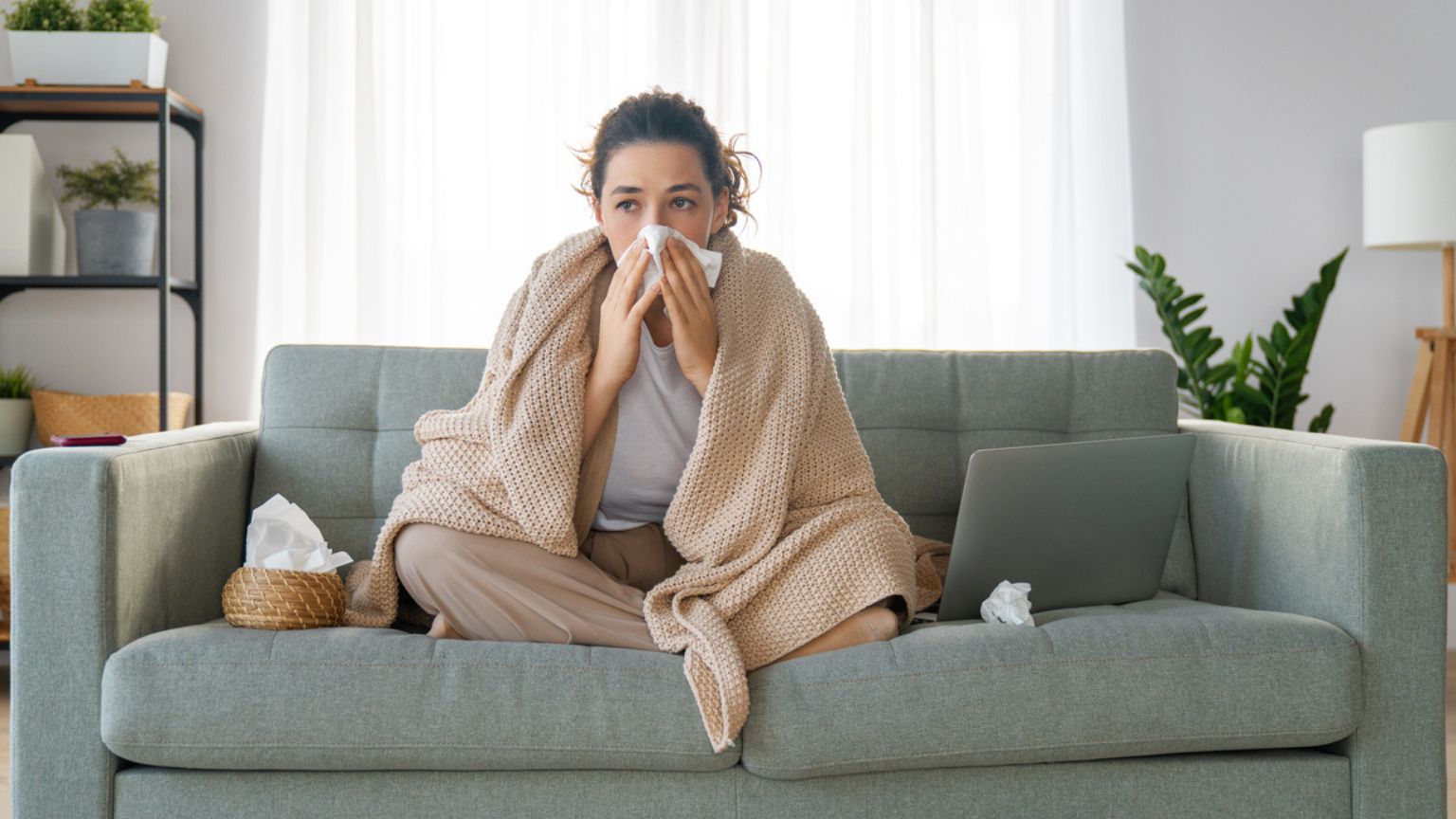 Antibiotics not working These herbal remedies could help fight off cold and flu symptoms this winter  MAIN